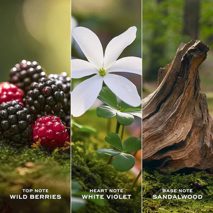 Daisy Marc Jacobs Perfume for Women SpadezStore