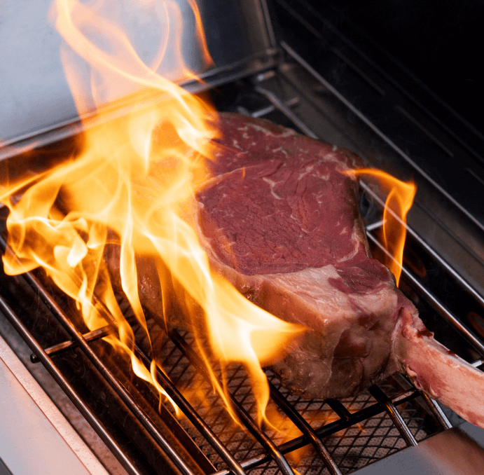 Monument Grills Eminence 405 |Tech Stainless Propane Gas Grill SpadezStore