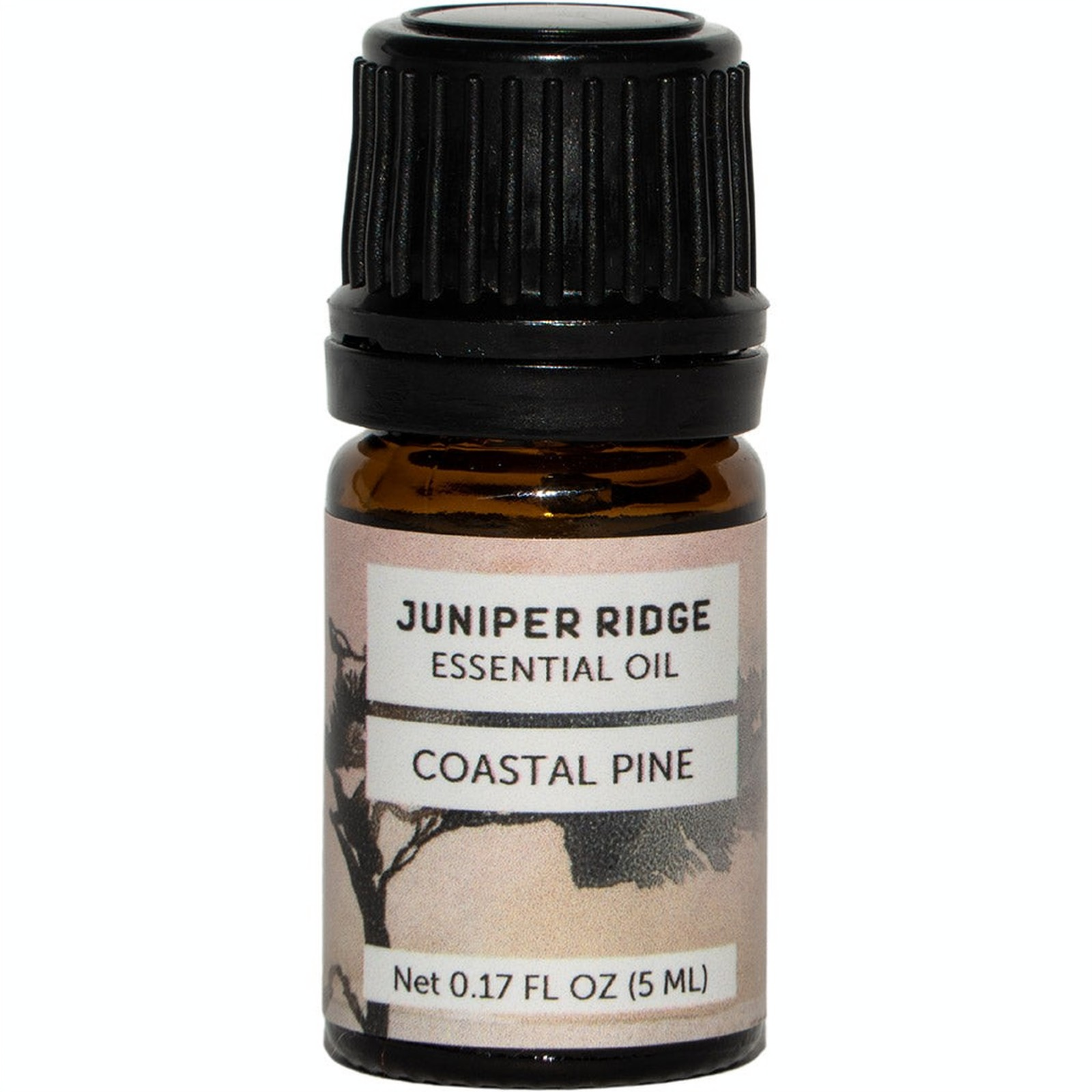 Juniper Ridge Coastal Pine Essential Oil SpadezStore