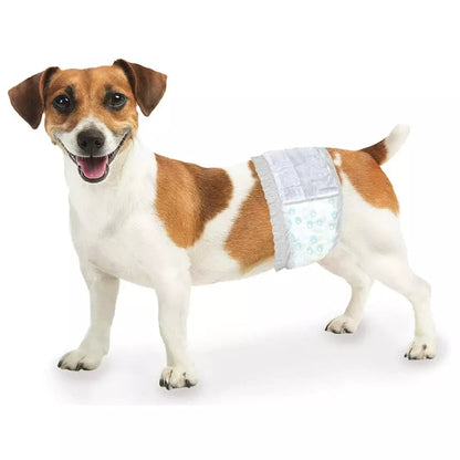 Four Paws Wee Wee Disposable Male Dog Wraps X-Small/Small SpadezStore