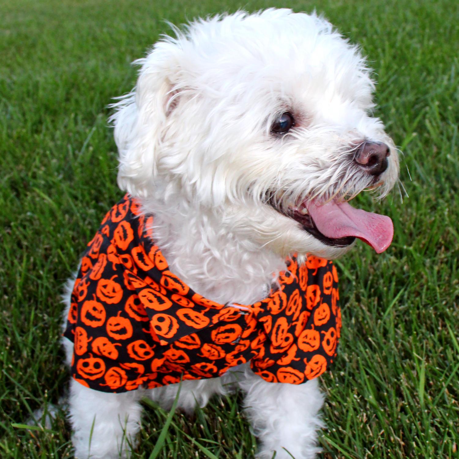 Doggie Design Holiday Camp Shirts Halloween Jack-O-Lanterns SpadezStore