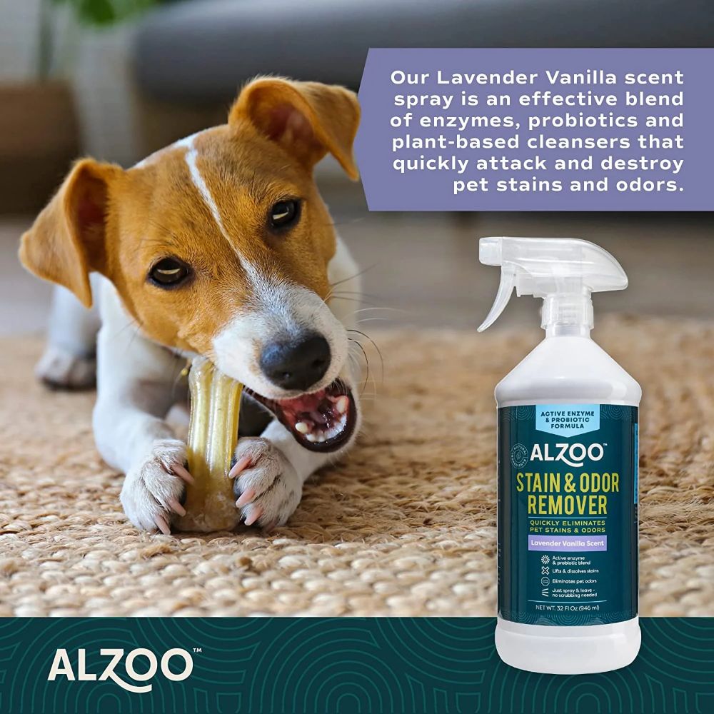 ALZOO Stain & Odor Remover Spray SpadezStore