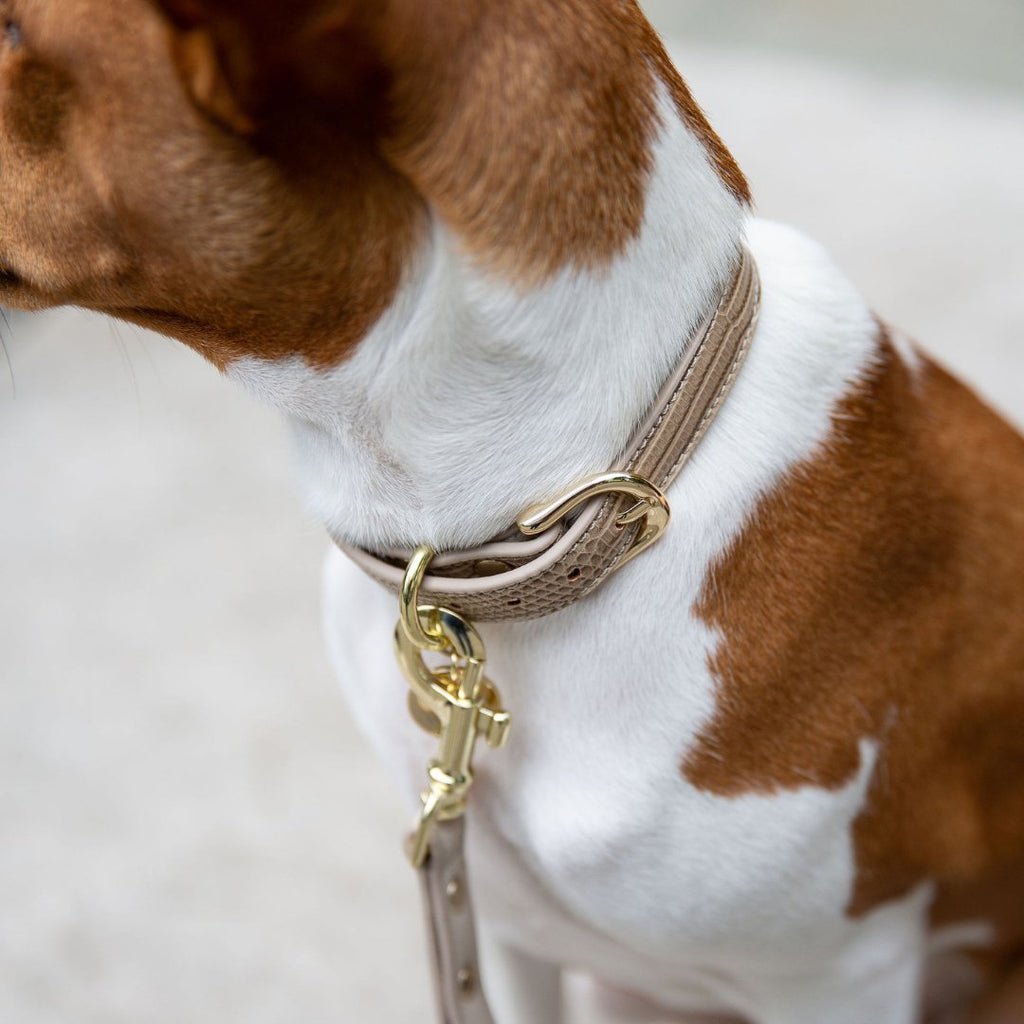 Nina Woof Collar - Vegan Leather - Milan SpadezStore