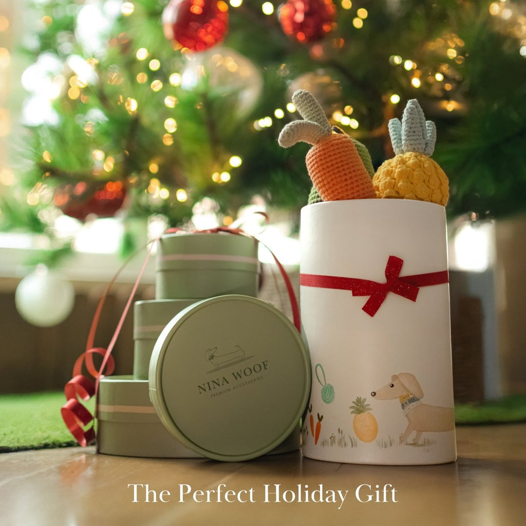 Nina Woof Organic Veggie Toys Bundle SpadezStore