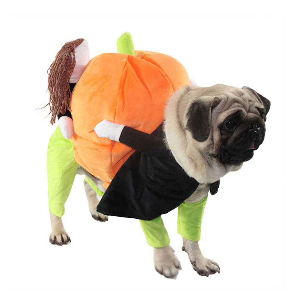 Pet Life 'Pumpkin Mon' Halloween Pet Dog Costume SpadezStore