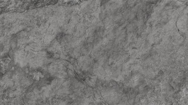 Rancho RS5000X RS999377 Suspension Shock Absorber