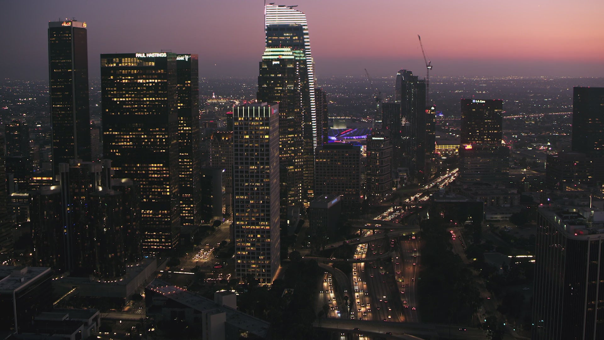 Dynamics 365 Customer Voice Additional Responses (Charity)