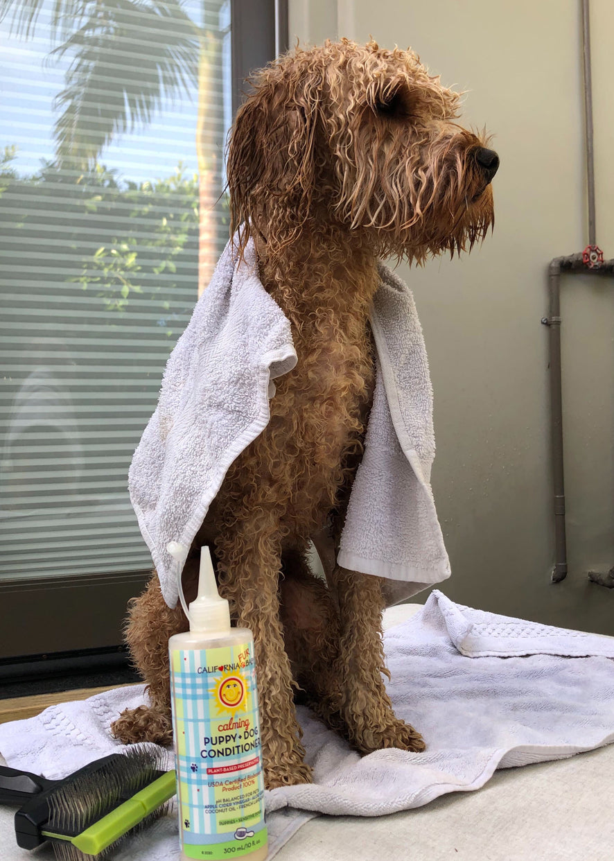 California Baby Calming™  Puppy + Dog Conditioner