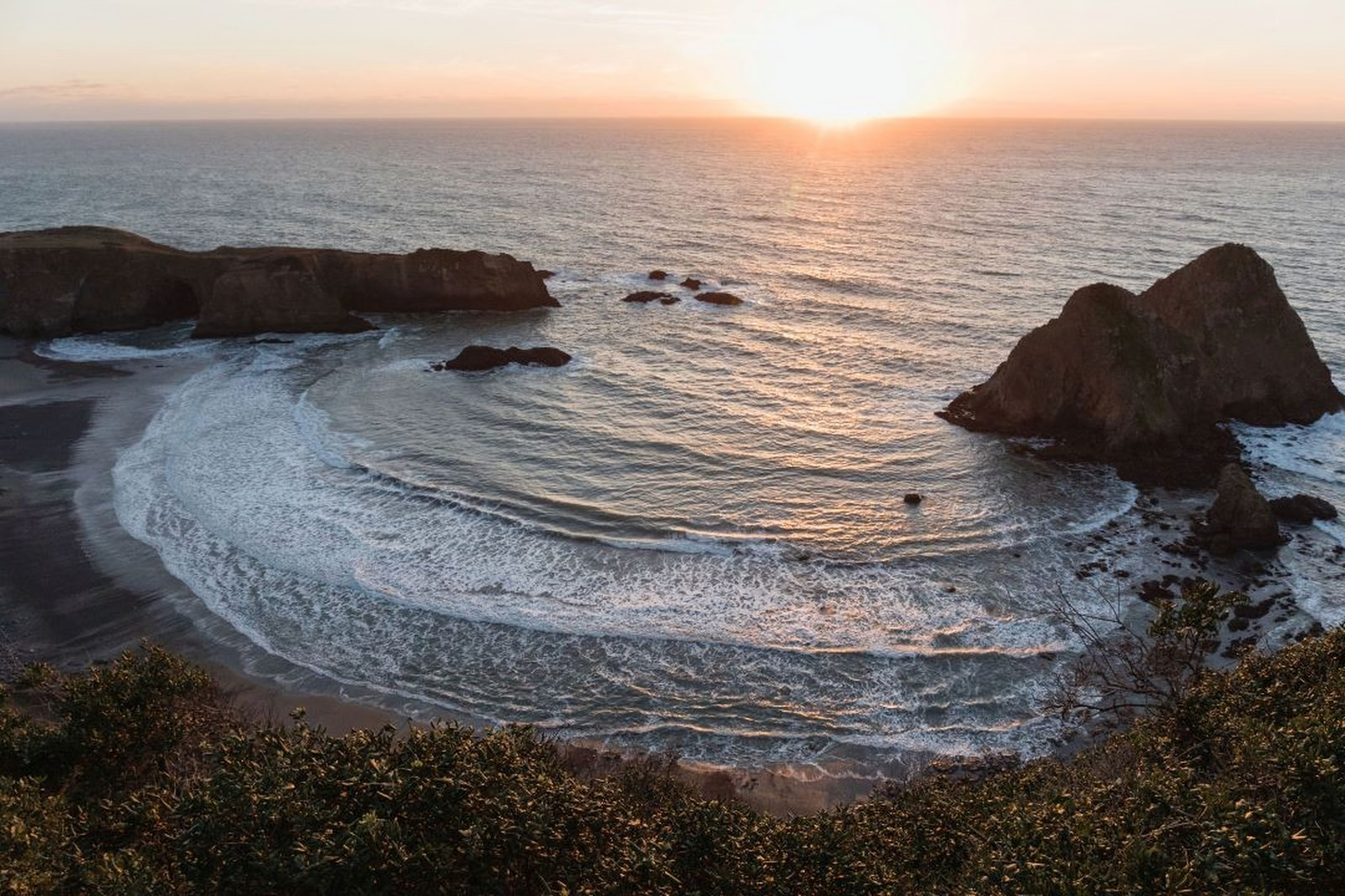 Juniper Ridge Coastal Pine Essential Oil SpadezStore