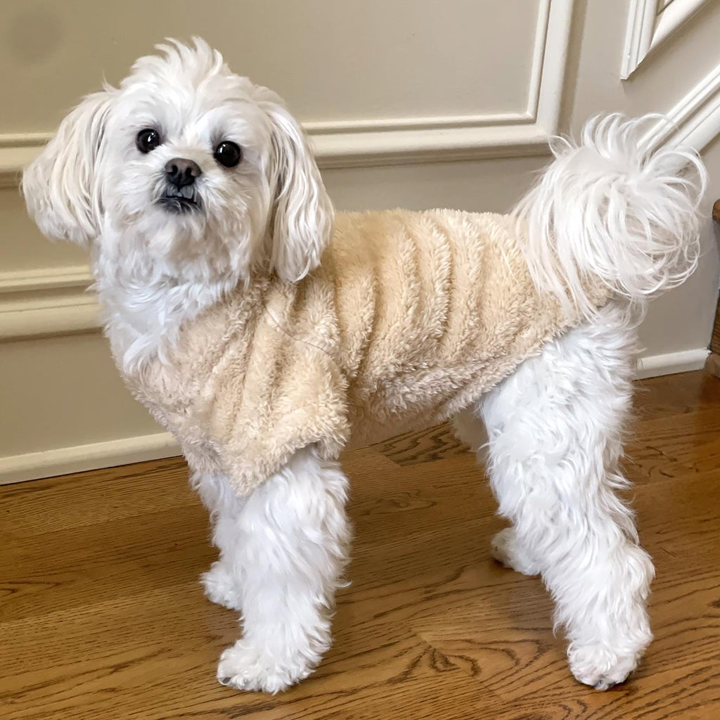 Doggie Design Soft Plush Pullover SpadezStore