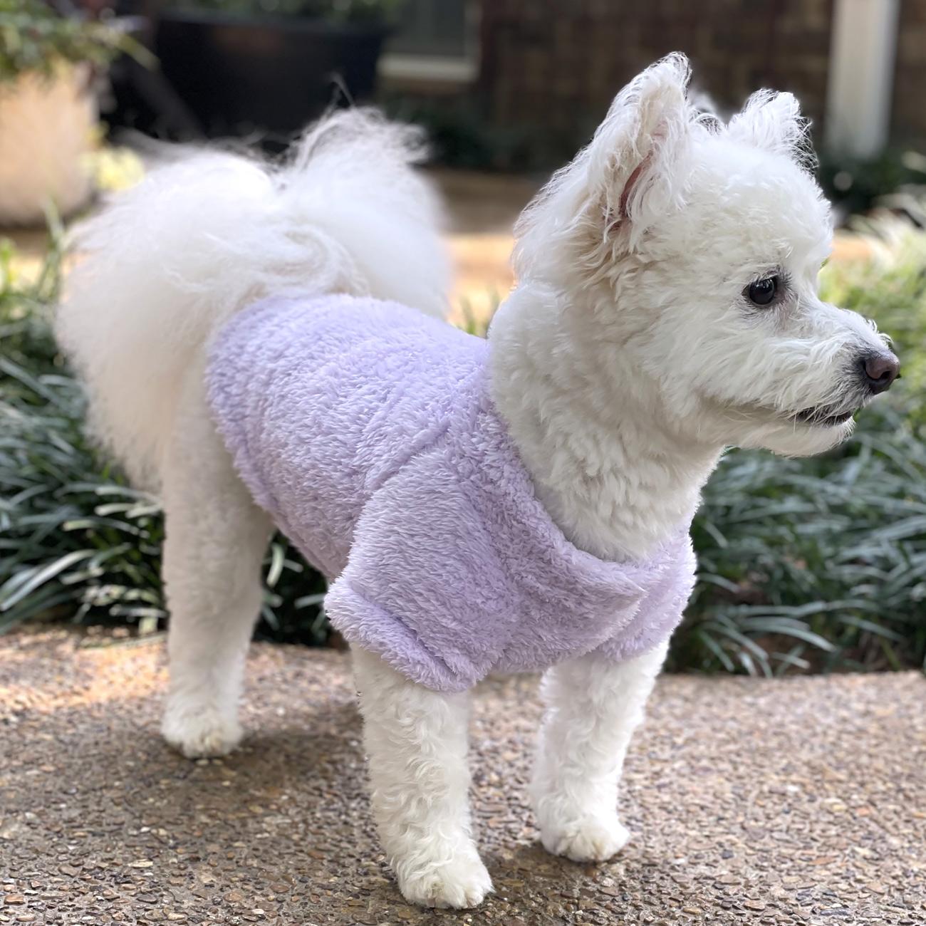 Doggie Design Soft Plush Pullover SpadezStore