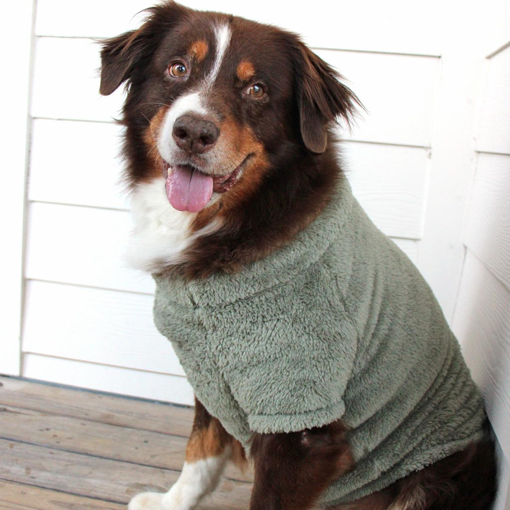 Doggie Design Soft Plush Pullover SpadezStore