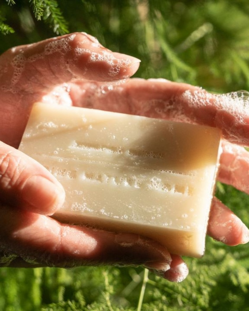 Juniper Ridge Cascade Forest Bar Soap 3-Pack SpadezStore