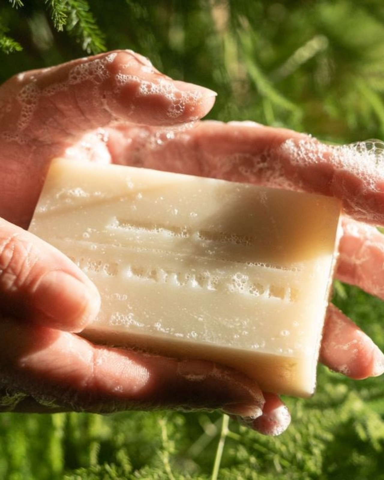 Juniper Ridge Cascade Forest Bar Soap 3-Pack SpadezStore