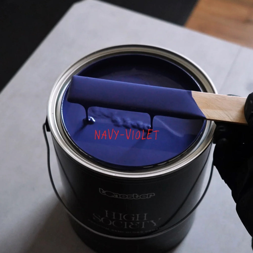 Tonester Paints SKYAMI (Navy-Violet)