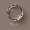 Tonester Paints Car Coat SpadezStore
