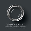 Tonester Paints Dakota Nights SpadezStore