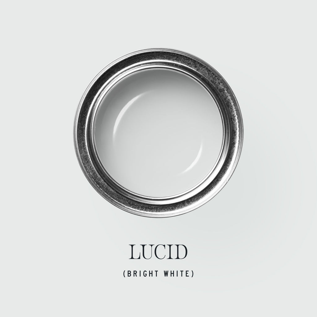 Tonester Paints Lucid
