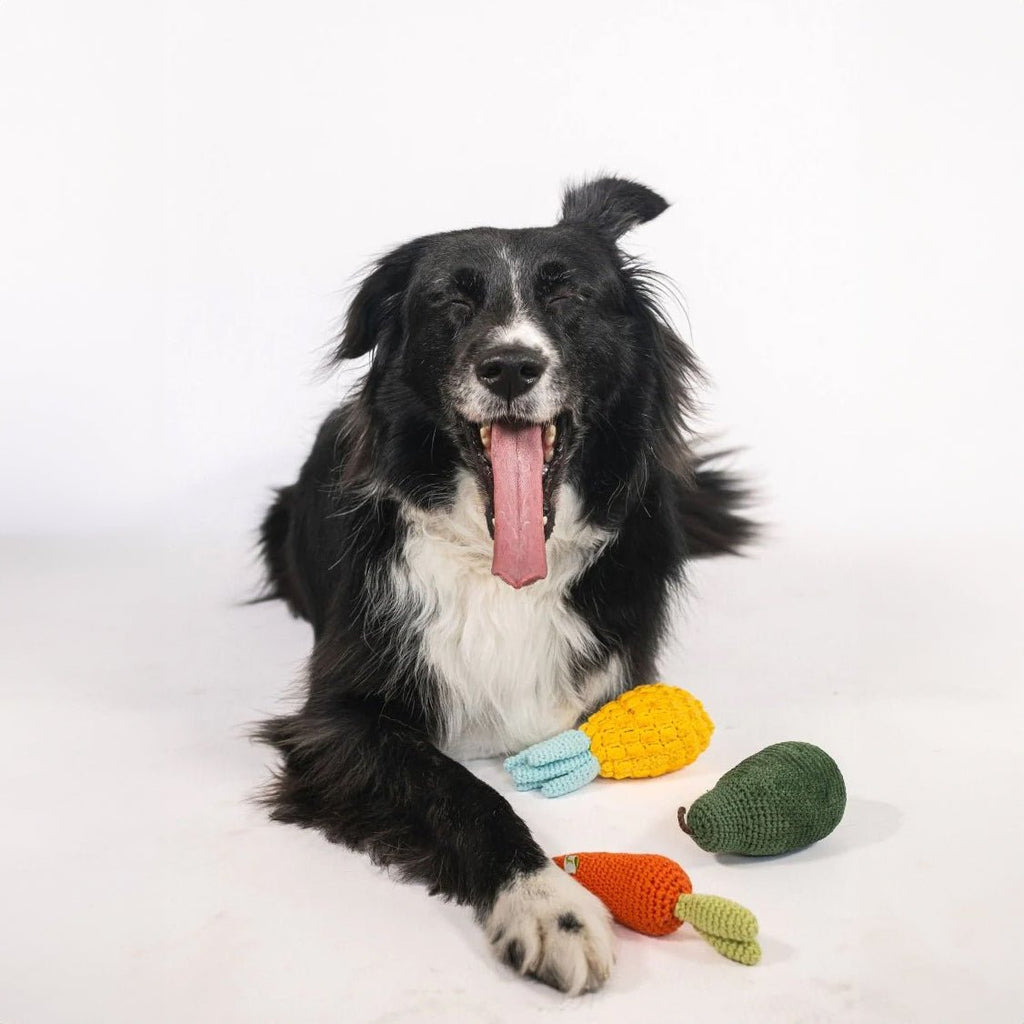 Nina Woof Organic Veggie Toys Bundle SpadezStore
