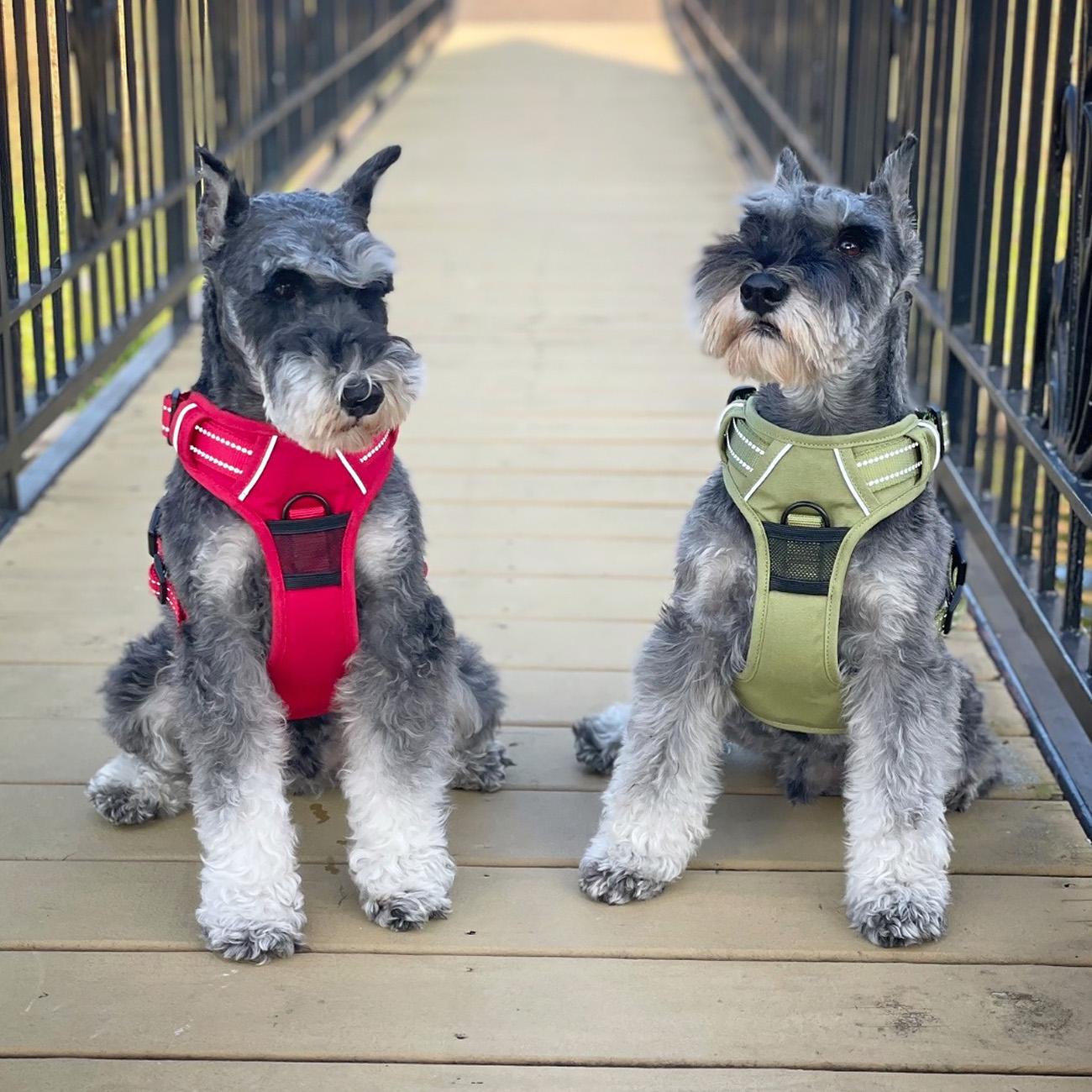 Venture Paw Pull Control Dog Harness - Crimson