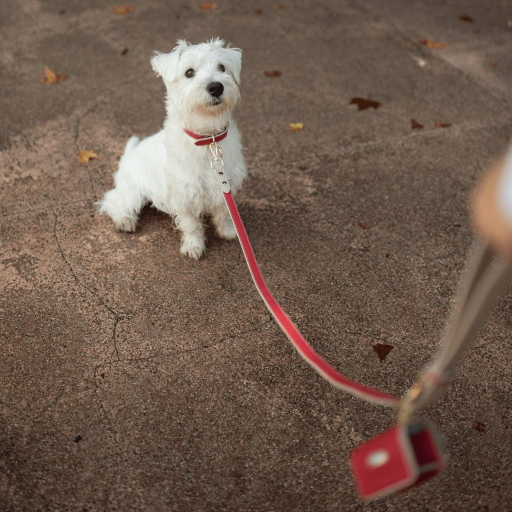 Nina Woof Waste Bag Holder - Vegan Leather - Bag Dispenser SpadezStore