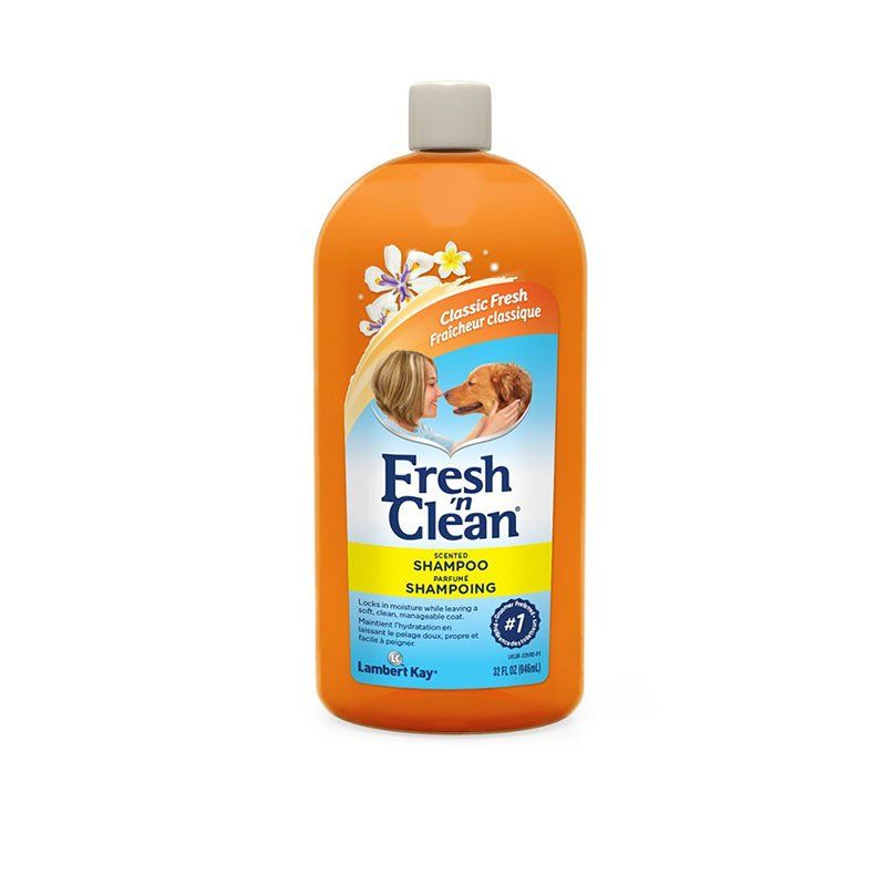 Fresh 'n Clean Scented Shampoo with Protein - Fresh Clean Scent SpadezStore