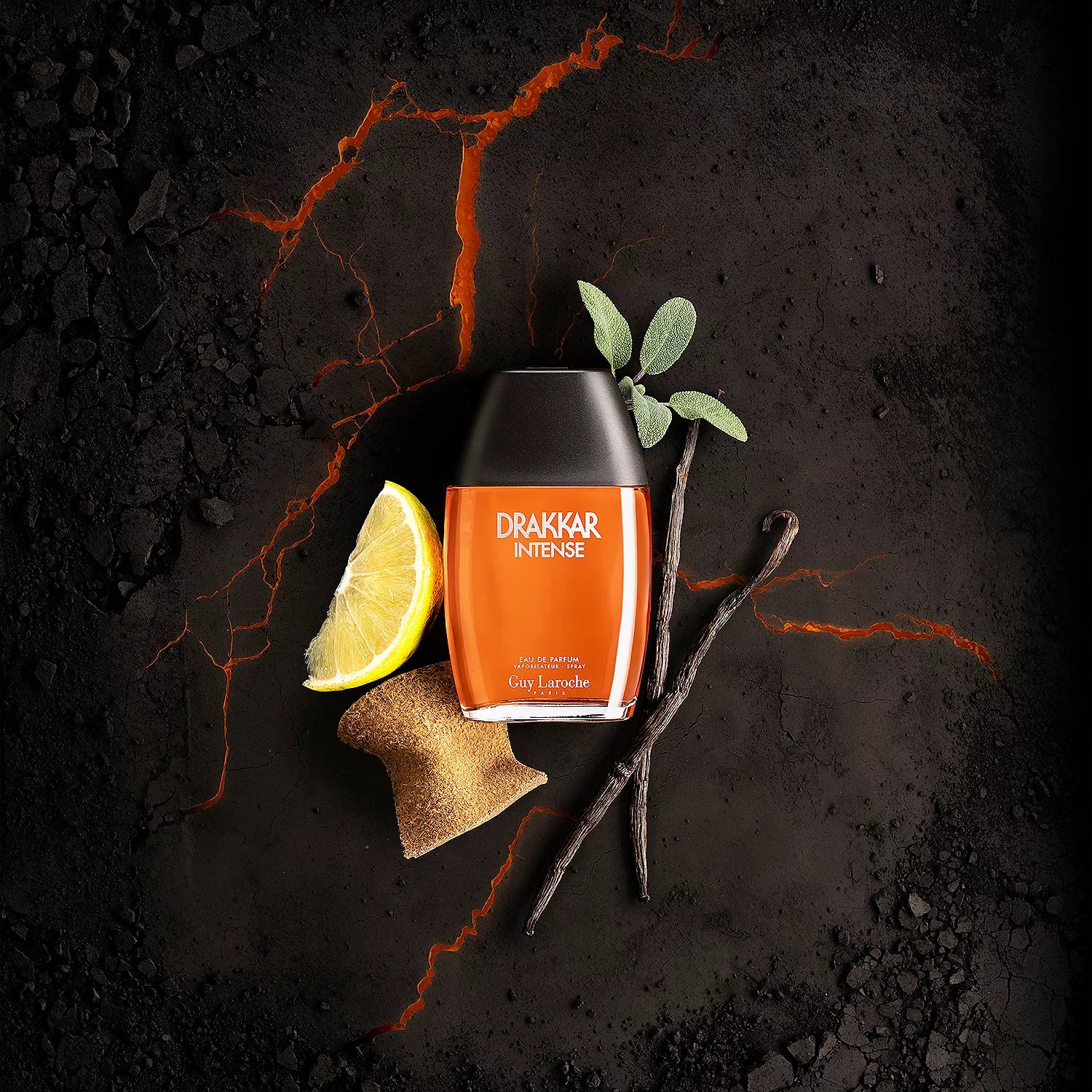 Drakkar Intense Cologne for Men SpadezStore