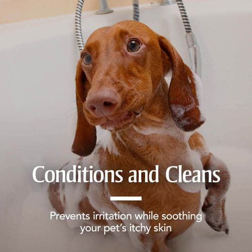 PetArmor Plus Oatmeal Shampoo for Dogs 7-Day Protection SpadezStore