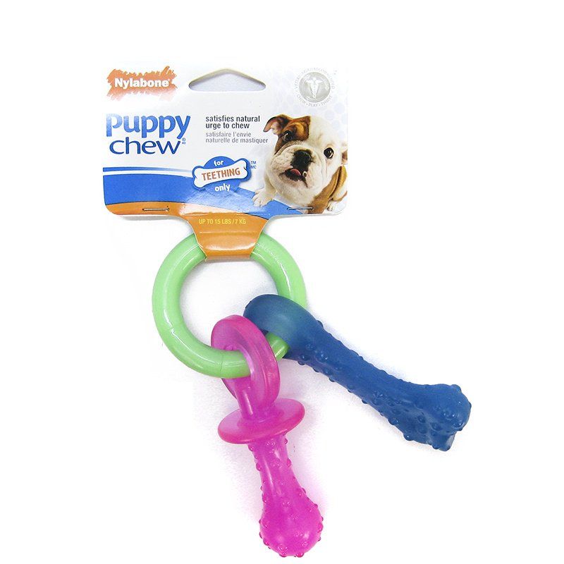 Nylabone Puppy Chew Teething Pacifier SpadezStore